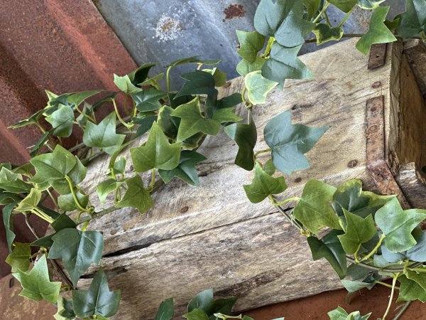 Girlang murgröna 180cm med gröna blad