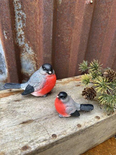 Fågel Domherre att dekorera med 