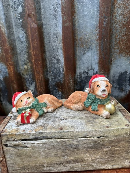 Katt och hund med tomteluva och guld inslag