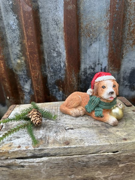 Katt och hund med tomteluva och guld inslag