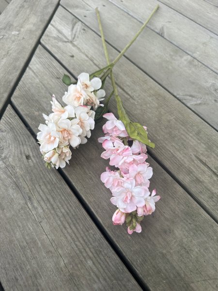 Lövkoja blomma i snitt modell