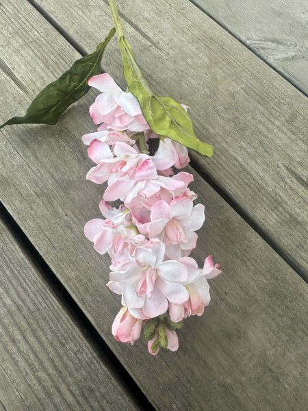 Lövkoja blomma i snitt modell