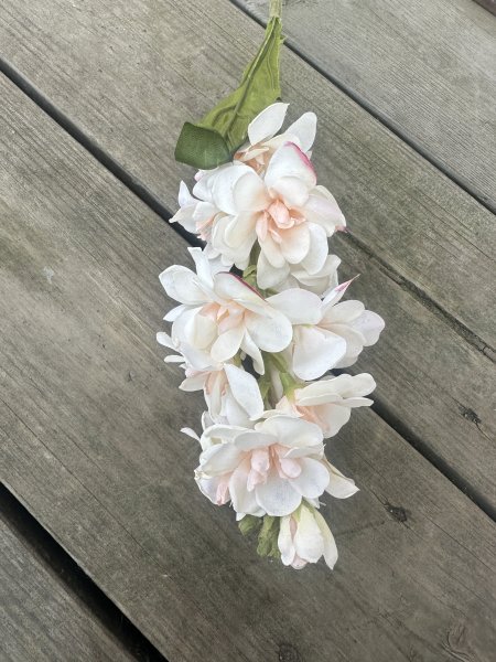 Lövkoja blomma i snitt modell