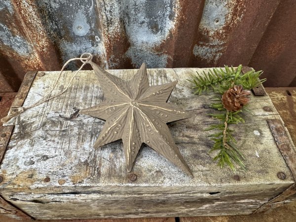 Vacker stjärna i antik guld att hänga
