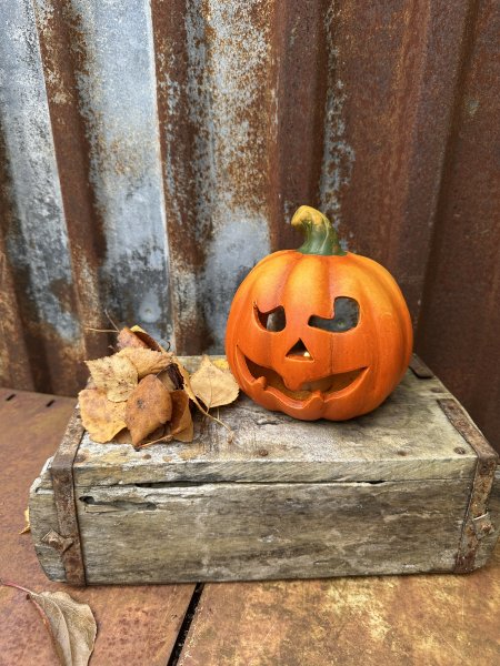 Pumpa ljuslykta Halloween 