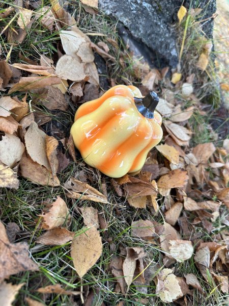 Orange pumpa i porslin att dekorera med 