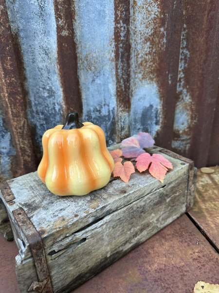 Orange pumpa i porslin att dekorera med 