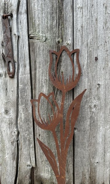 Tulpaner i rost på pinne växtstöd och dekoration 