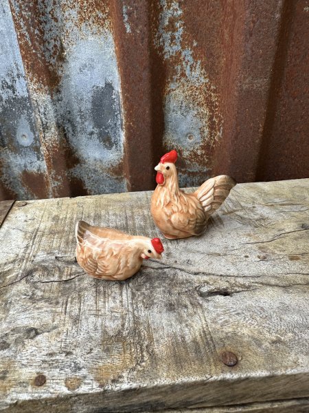 Klassisk tupp och höna i lantlig stil