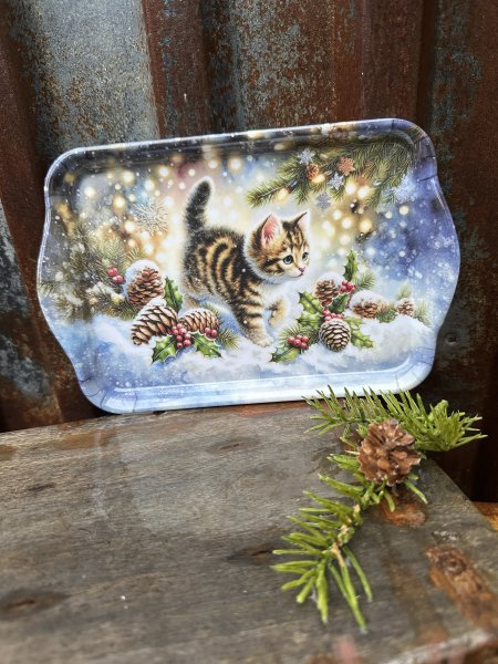Söt vinter vacker bricka med kattunge