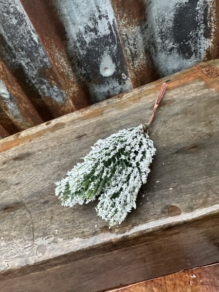 Grön grankvist med puder snö
