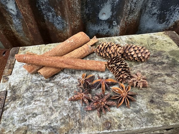 Natur dekoration kottar kanel och stjärnanis