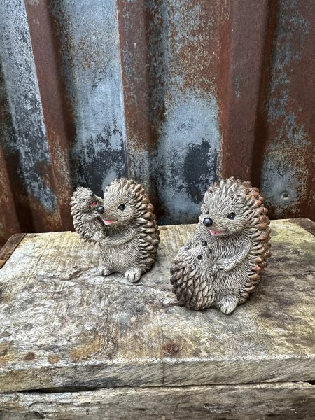 Igelkott / igelkottar att dekorera med