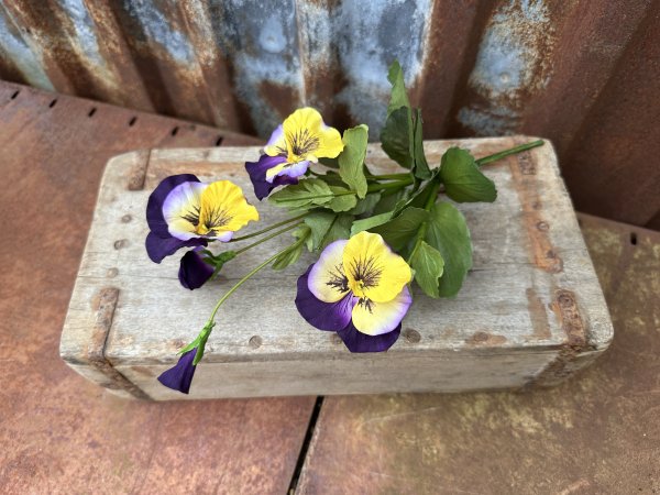 Lila och gul Pensé bukett med flera blommor
