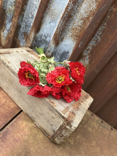 Bukett med sommarblommor prästkrage vallmo blåklint