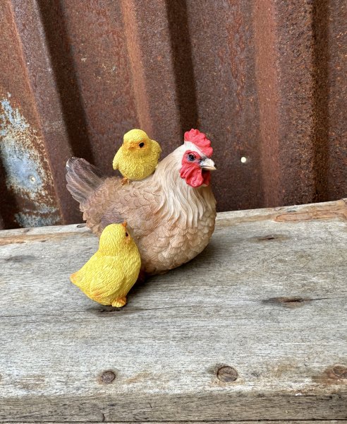 Höna med kycklingar 