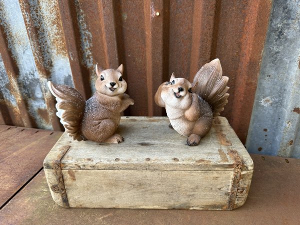 Piff och Puff söta busiga ekorrar