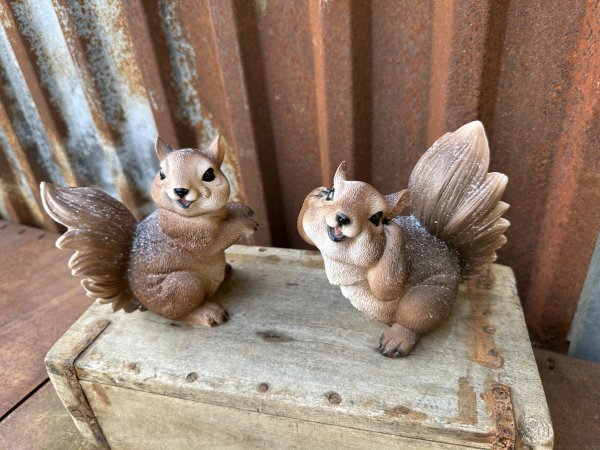 Piff och Puff söta busiga ekorrar