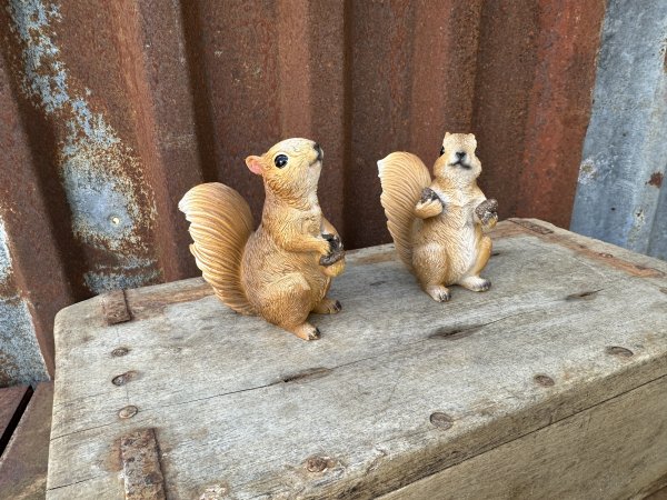 Ekorre med ekollon och kottar 