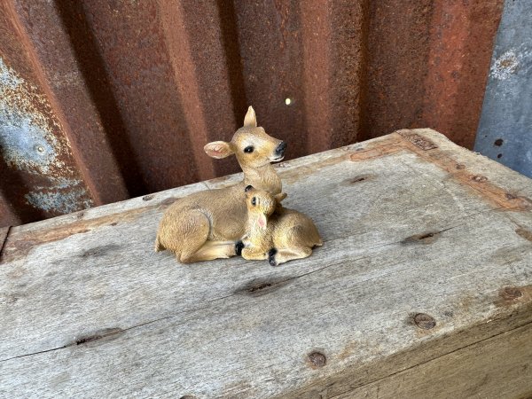 Rådjurs mamma med rådjurs kid