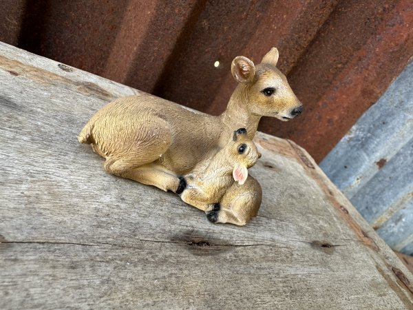 Rådjurs mamma med rådjurs kid