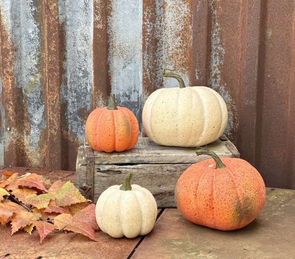 Pumpa vit och orange att dekorera med