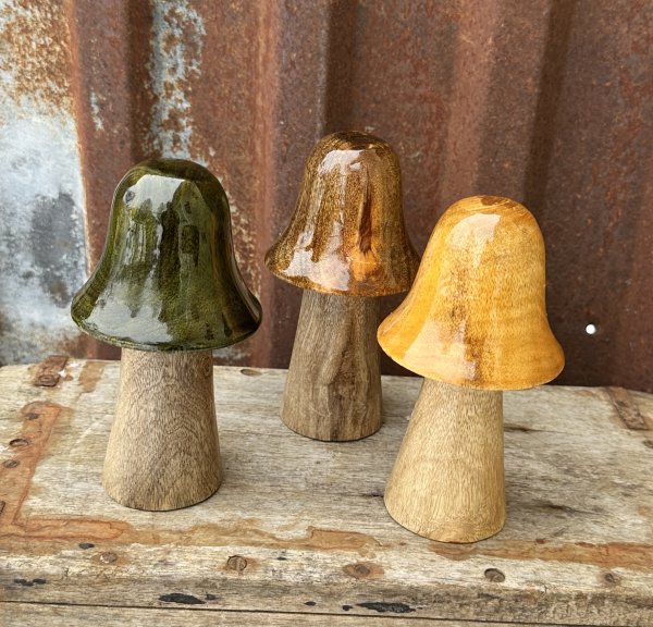 Svamp natur med glaserad hatt