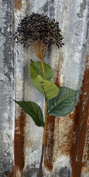 Lila Hydrangea blomma med gröna blad