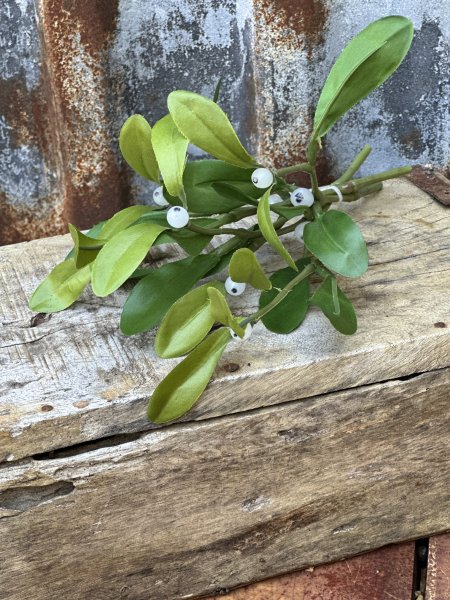 Mistel i bukett modell med vita bär och gröna blad 