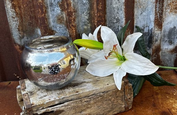 Vacker ljuslykta i fattigmanssilver. I rundad större modell med blank fin yta. Höjd: ca 13cm Bredd: ca 14cm