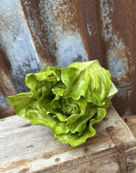 Sallad salladskål konstgjord att dekorera med