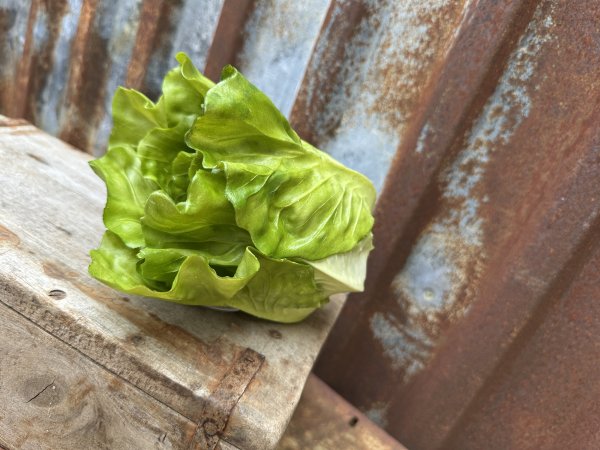 Sallad salladskål konstgjord att dekorera med