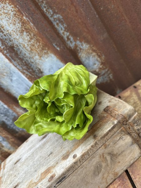 Sallad salladskål konstgjord att dekorera med