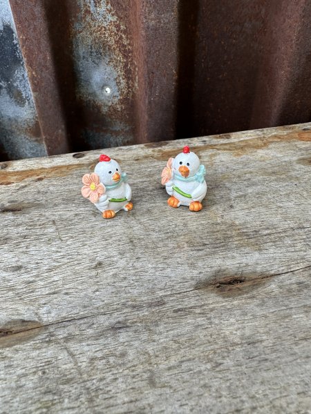 Liten söt vit höna med blomma