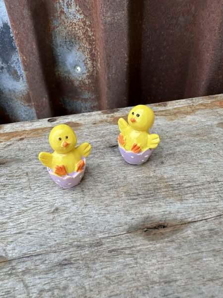 Liten söt gul kyckling i ägg