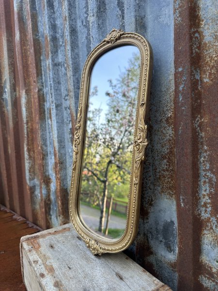 Spegel med ram i guld avlång vackert modell 