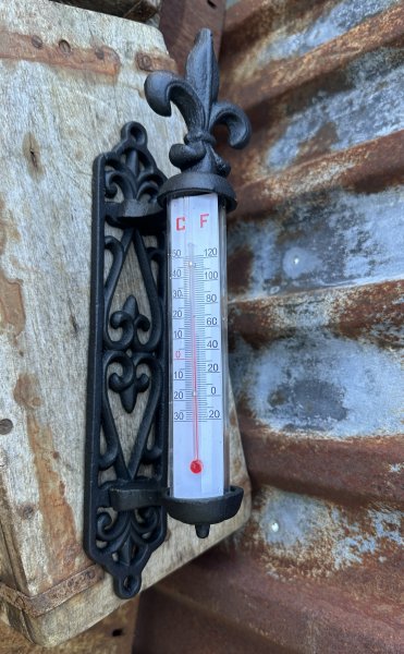 Vägg termometer i järn med dekorerad rygg och fransk lilja