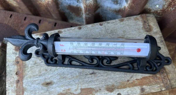 Vägg termometer i järn med dekorerad rygg och fransk lilja