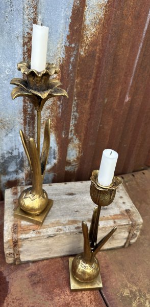 Vacker ljusstake blomma i guld