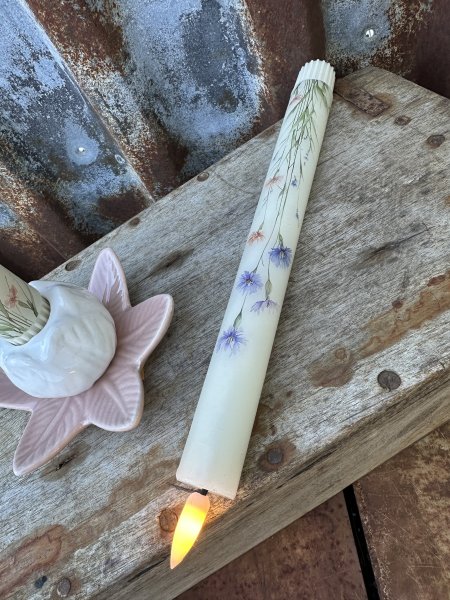 Timerljus 2-pack med motiv av blåklint