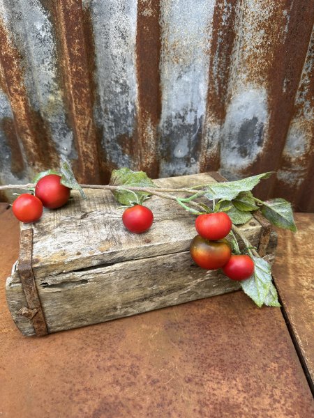 Tomatkvist med flera röda tomater 