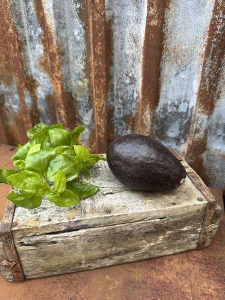 Avokado att dekorera med