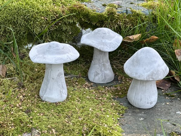 Svamp i grå i betong 