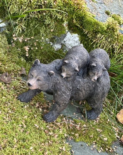Björn mamma med björnungar på ryggen
