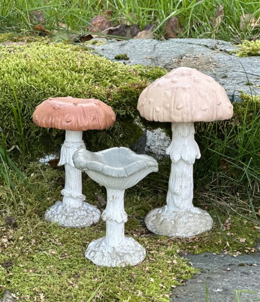 Svamp natur i mjuka nyanser