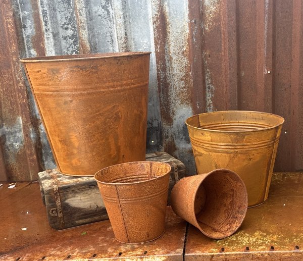 Rostig kruka Rusty i flera storlekar