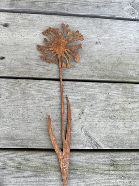 Rostig blomma på stick med hjärtformade blad