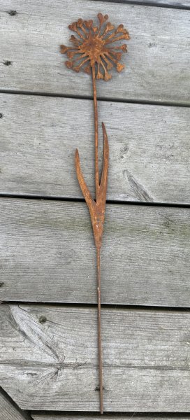 Rostig blomma på stick med hjärtformade blad