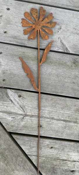 Rostig blomma på stick med blad 