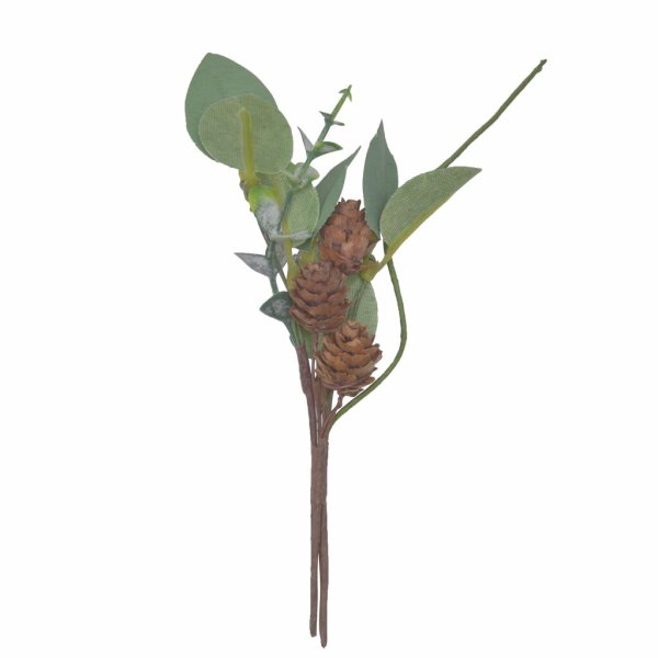 Eucalyptus bukett med kottar